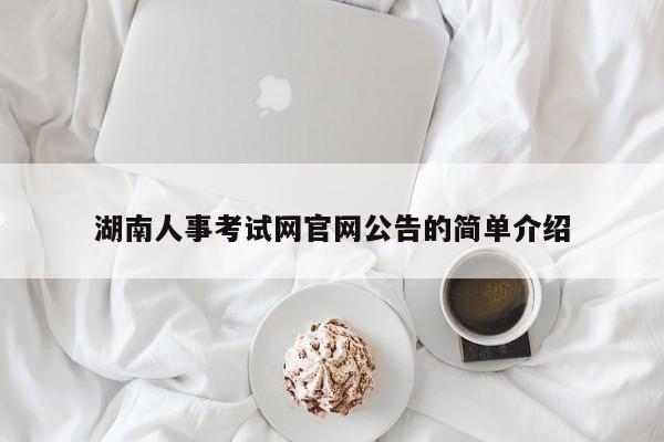 湖南人事考试网官网公告的简单介绍